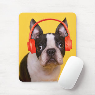 Niedliche Kleintiere   Boston Terrier Kopfhörer Mousepad