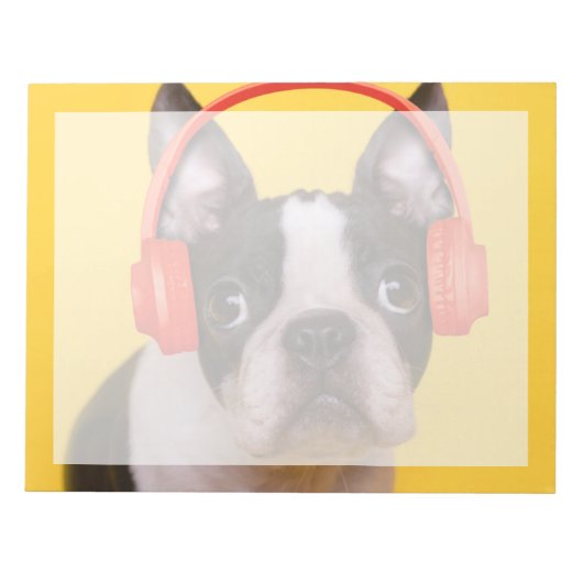 Niedliche Kleintiere | Boston Terrier Kopfhörer Notizblock (Vorderseite)