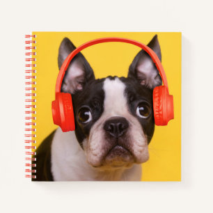 Niedliche Kleintiere   Boston Terrier Kopfhörer Notizblock