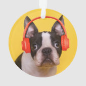Niedliche Kleintiere | Boston Terrier Kopfhörer Ornament (Rückseite)