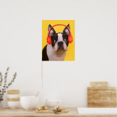 Niedliche Kleintiere | Boston Terrier Kopfhörer Poster (Küche)