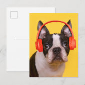 Niedliche Kleintiere | Boston Terrier Kopfhörer Postkarte (Vorne/Hinten)