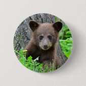 Niedliche Kleintiere | Braunbärenkuppe Button (Vorderseite)