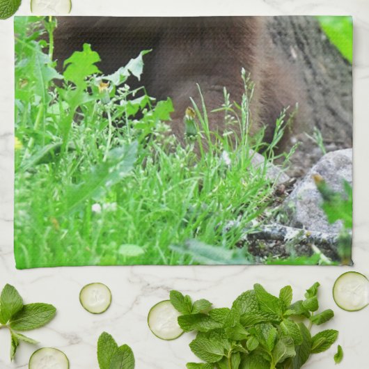 Niedliche Kleintiere | Braunbärenkuppe Geschirrtuch (Gefaltet)