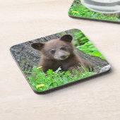 Niedliche Kleintiere | Braunbärenkuppe Getränkeuntersetzer (Linke Seite)