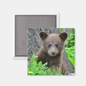 Niedliche Kleintiere | Braunbärenkuppe Magnet (Vorderseite/Rückseite)