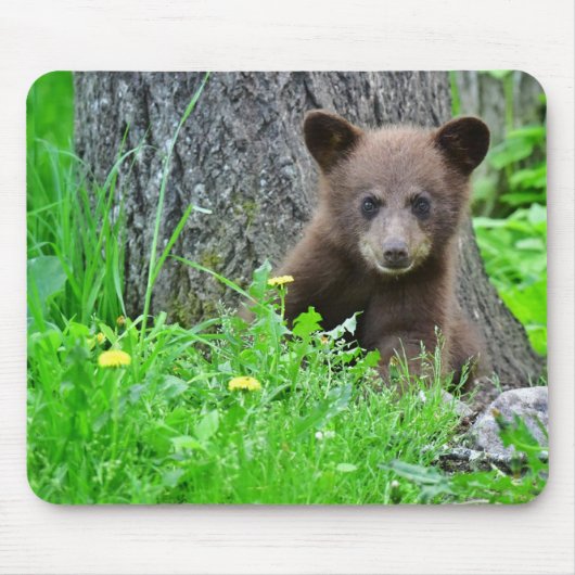 Niedliche Kleintiere | Braunbärenkuppe Mousepad (Vorne)