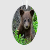 Niedliche Kleintiere | Braunbärenkuppe Ornament (Vorderseite)