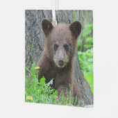 Niedliche Kleintiere | Braunbärenkuppe Ornament Aus Glas (Vorderseite links)