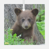 Niedliche Kleintiere | Braunbärenkuppe Ornament Aus Glas (Vorderseite)