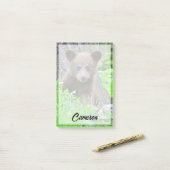 Niedliche Kleintiere | Braunbärenkuppe Post-it Klebezettel (Auf Schreibtisch)