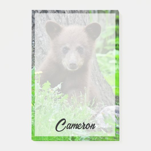 Niedliche Kleintiere | Braunbärenkuppe Post-it Klebezettel (Vorderseite)