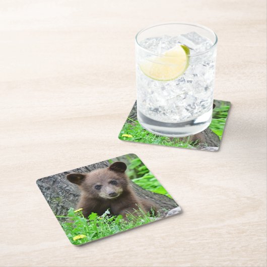 Niedliche Kleintiere | Braunbärenkuppe Rechteckiger Pappuntersetzer (Vor Ort)