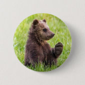 Niedliche Kleintiere | Braune Bärenwölfe Button (Vorderseite)