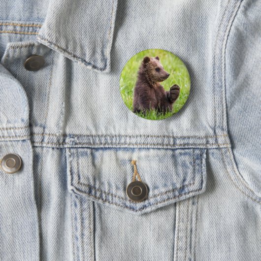 Niedliche Kleintiere | Braune Bärenwölfe Button (Beispiel)