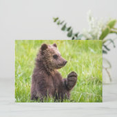 Niedliche Kleintiere | Braune Bärenwölfe Dankeskarte (Stehend Vorderseite)