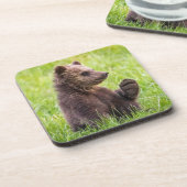 Niedliche Kleintiere | Braune Bärenwölfe Getränkeuntersetzer (Linke Seite)
