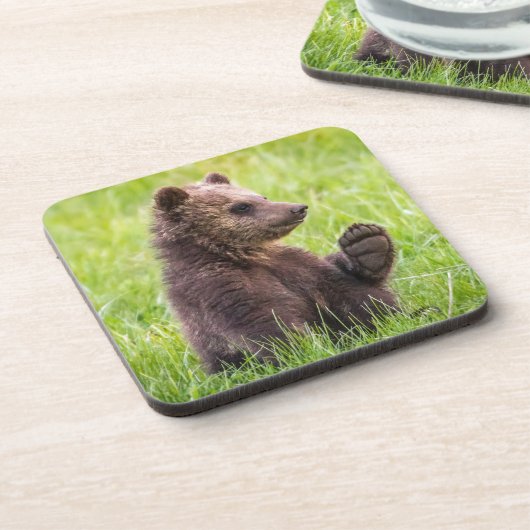 Niedliche Kleintiere | Braune Bärenwölfe Getränkeuntersetzer (Linke Seite)