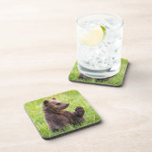 Niedliche Kleintiere | Braune Bärenwölfe Getränkeuntersetzer (Rechte Seite)