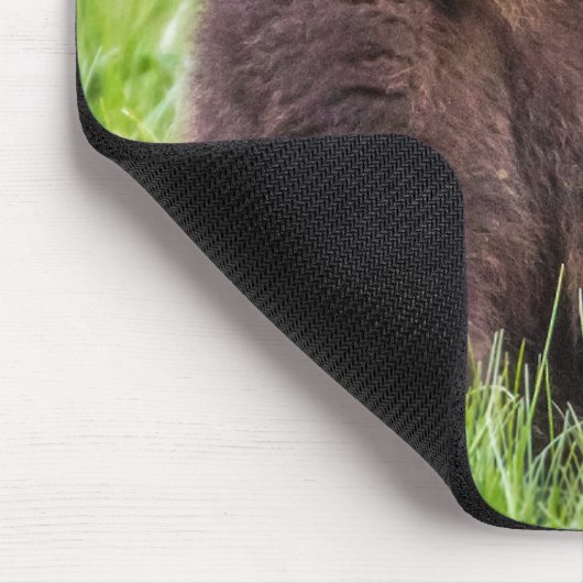 Niedliche Kleintiere | Braune Bärenwölfe Mousepad (Ecke)