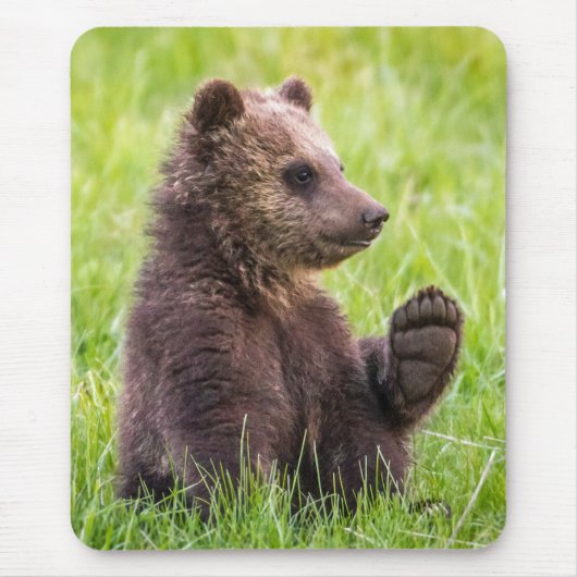 Niedliche Kleintiere | Braune Bärenwölfe Mousepad (Vorne)