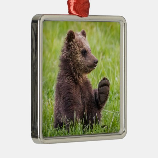 Niedliche Kleintiere | Braune Bärenwölfe Ornament Aus Metall (Rechts)