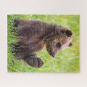 Niedliche Kleintiere | Braune Bärenwölfe Puzzle (Horizontal)