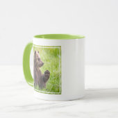 Niedliche Kleintiere | Braune Bärenwölfe Tasse (Vorderseite Links)