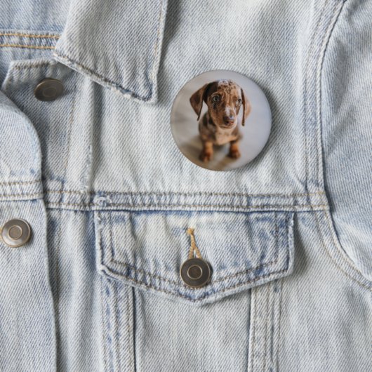 Niedliche Kleintiere | Braune Dackel Welpe Button (Beispiel)