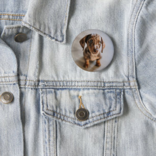 Niedliche Kleintiere Braune Dackel Welpe Button