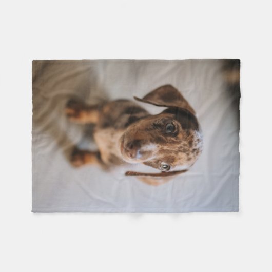 Niedliche Kleintiere | Braune Dackel Welpe Fleecedecke (Vorderseite (Horizontal))