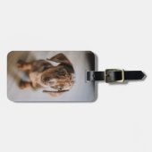 Niedliche Kleintiere | Braune Dackel Welpe Gepäckanhänger (Vorderseite horizontal)