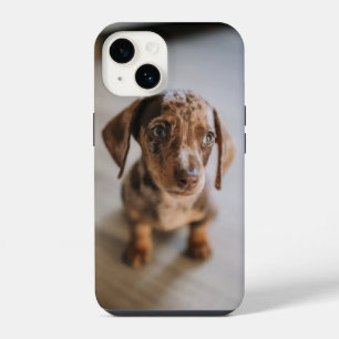 Niedliche Kleintiere Braune Dackel Welpe iPhone 14 Hülle