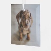 Niedliche Kleintiere | Braune Dackel Welpe Ornament Aus Glas (Vorderseite links)