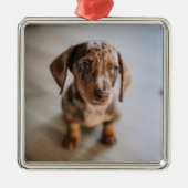 Niedliche Kleintiere | Braune Dackel Welpe Ornament Aus Metall (Vorne)