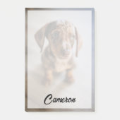 Niedliche Kleintiere | Braune Dackel Welpe Post-it Klebezettel (Vorderseite)