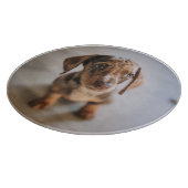 Niedliche Kleintiere | Braune Dackel Welpe Schneidebrett (Ecke)