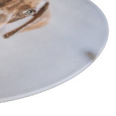 Niedliche Kleintiere | Braune Dackel Welpe Schneidebrett (Ecke)