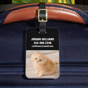 Niedliche Kleintiere   British Longhair Kitten Gepäckanhänger