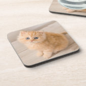 Niedliche Kleintiere | British Longhair Kitten Getränkeuntersetzer (Linke Seite)