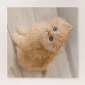 Niedliche Kleintiere | British Longhair Kitten Puzzle (Horizontal)