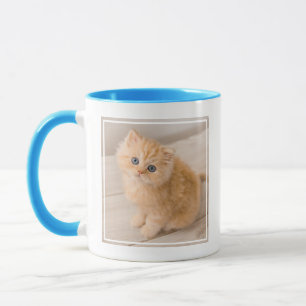 Niedliche Kleintiere   British Longhair Kitten Tasse