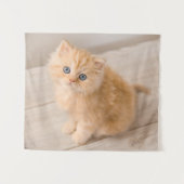 Niedliche Kleintiere | British Longhair Kitten Wandteppich (Vorderseite (Horizontal))