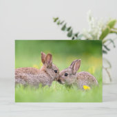 Niedliche Kleintiere | Bunny Kiss Dankeskarte (Stehend Vorderseite)
