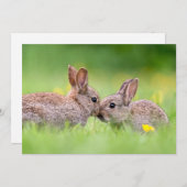 Niedliche Kleintiere | Bunny Kiss Dankeskarte (Vorne/Hinten)