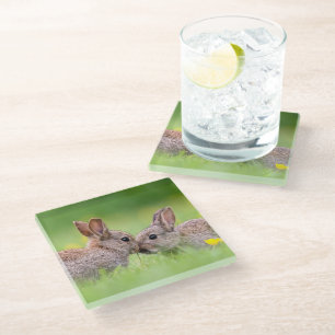 Niedliche Kleintiere Bunny Kiss Glasuntersetzer