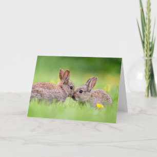 Niedliche Kleintiere   Bunny Kiss Karte
