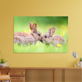 Niedliche Kleintiere | Bunny Kiss Leinwanddruck (Insitu (Wohnzimmer))