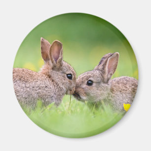 Niedliche Kleintiere Bunny Kiss Magnet