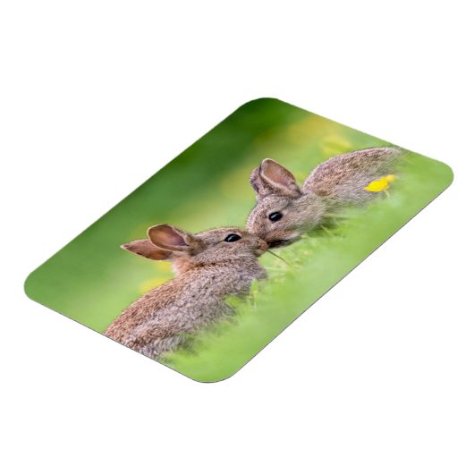 Niedliche Kleintiere | Bunny Kiss Magnet (Linke Seite)
